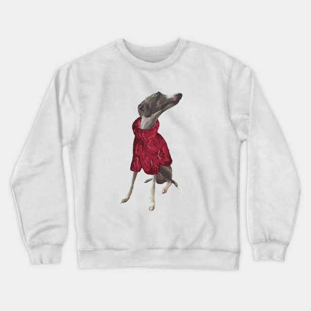 A handsome grey italian greyhound named Luca in a knitted red polo neck jumper jersey Crewneck Sweatshirt by Fruit Tee